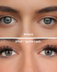 Kindle Kit - DIY Lash Extensions